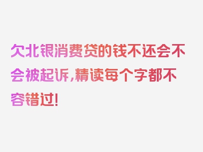 欠北银消费贷的钱不还会不会被起诉，精读每个字都不容错过！