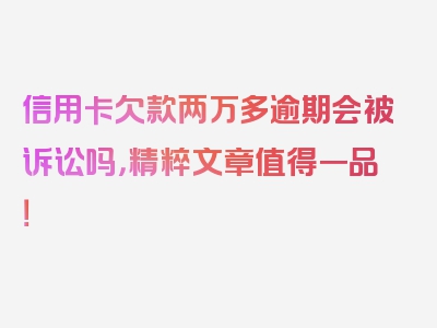 信用卡欠款两万多逾期会被诉讼吗，精粹文章值得一品！