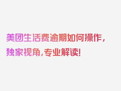 美团生活费逾期如何操作，独家视角，专业解读！