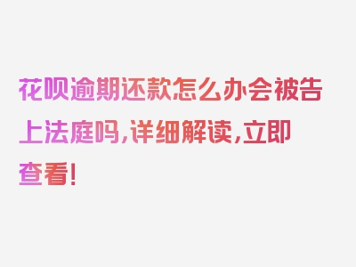 花呗逾期还款怎么办会被告上法庭吗，详细解读，立即查看！
