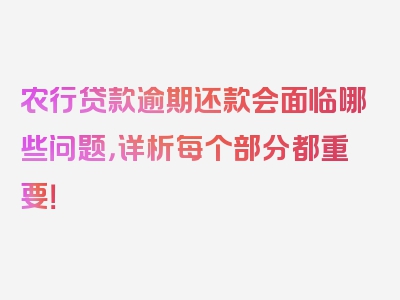 农行贷款逾期还款会面临哪些问题，详析每个部分都重要！