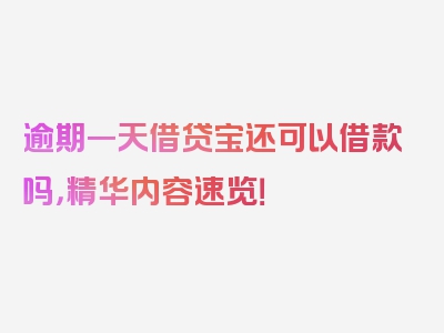 逾期一天借贷宝还可以借款吗，精华内容速览！