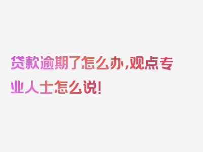 贷款逾期了怎么办，观点专业人士怎么说！