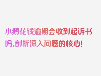 小鹅花钱逾期会收到起诉书吗，剖析深入问题的核心！