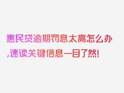 惠民贷逾期罚息太高怎么办，速读关键信息一目了然！
