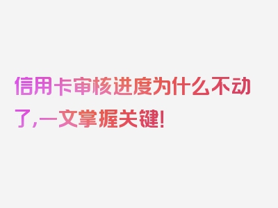 信用卡审核进度为什么不动了，一文掌握关键！