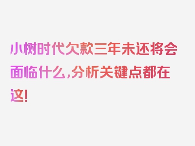 小树时代欠款三年未还将会面临什么，分析关键点都在这！