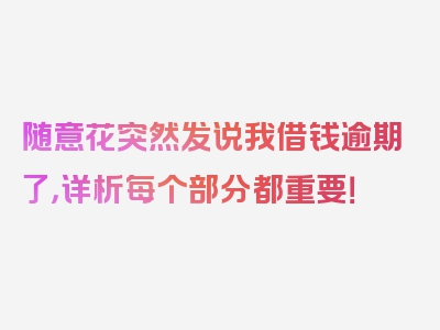 随意花突然发说我借钱逾期了，详析每个部分都重要！