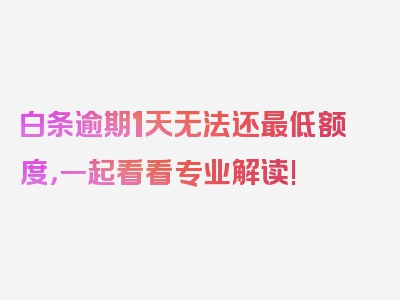 白条逾期1天无法还最低额度，一起看看专业解读!