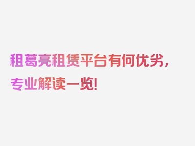 租葛亮租赁平台有何优劣，专业解读一览！