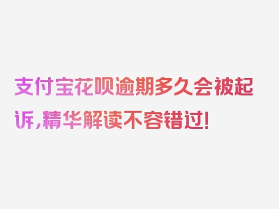 支付宝花呗逾期多久会被起诉，精华解读不容错过！