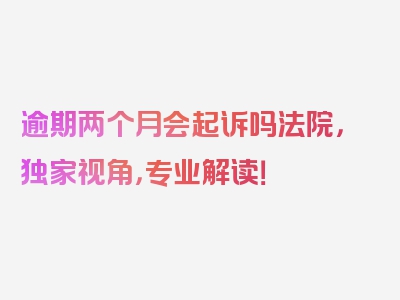 逾期两个月会起诉吗法院，独家视角，专业解读！