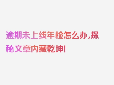 逾期未上线年检怎么办，探秘文章内藏乾坤！
