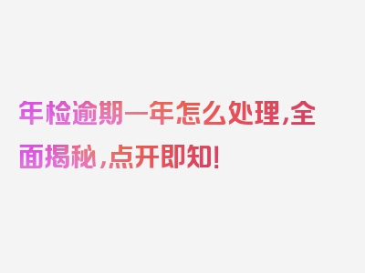年检逾期一年怎么处理，全面揭秘，点开即知！