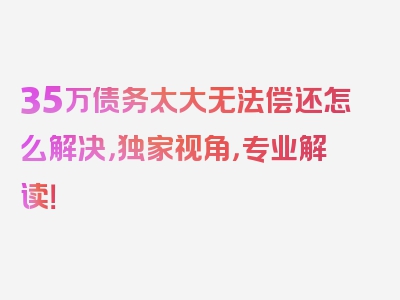 35万债务太大无法偿还怎么解决，独家视角，专业解读！