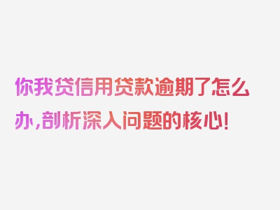 你我贷信用贷款逾期了怎么办，剖析深入问题的核心！