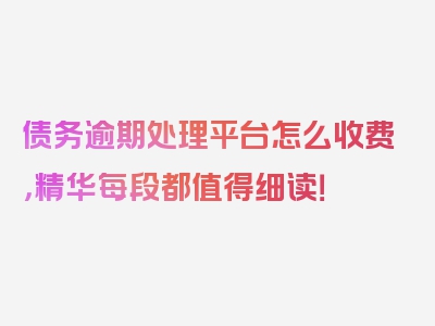 债务逾期处理平台怎么收费，精华每段都值得细读！