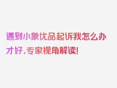 遇到小象优品起诉我怎么办才好，专家视角解读！