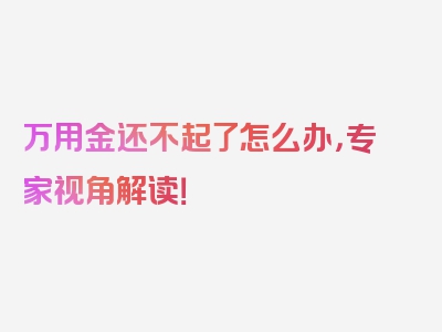 万用金还不起了怎么办，专家视角解读！