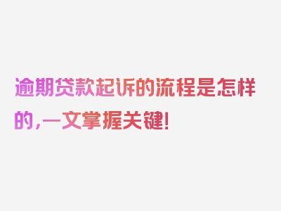 逾期贷款起诉的流程是怎样的，一文掌握关键！