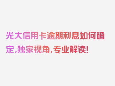 光大信用卡逾期利息如何确定，独家视角，专业解读！