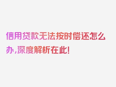 信用贷款无法按时偿还怎么办，深度解析在此！