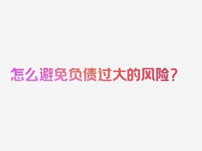 怎么避免负债过大的风险？