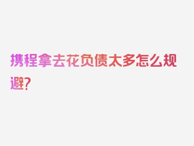 携程拿去花负债太多怎么规避?