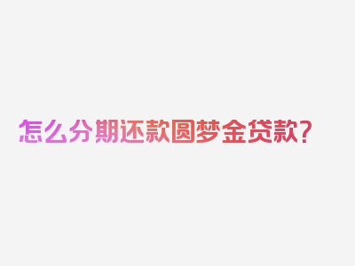 怎么分期还款圆梦金贷款？