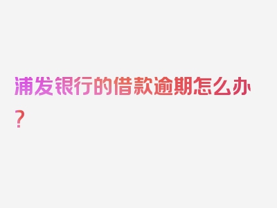 浦发银行的借款逾期怎么办？