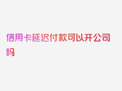 信用卡延迟付款可以开公司吗