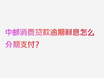 中邮消费贷款逾期利息怎么分期支付？