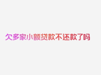 欠多家小额贷款不还款了吗