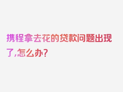 携程拿去花的贷款问题出现了，怎么办？