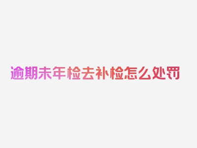 逾期未年检去补检怎么处罚