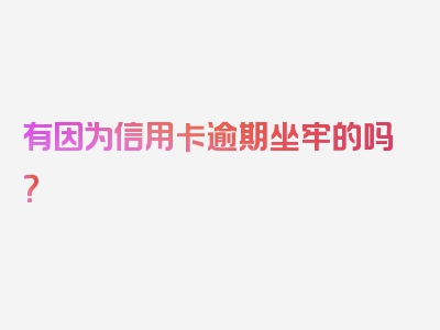 有因为信用卡逾期坐牢的吗？