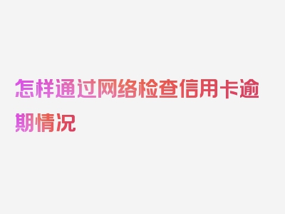 怎样通过网络检查信用卡逾期情况