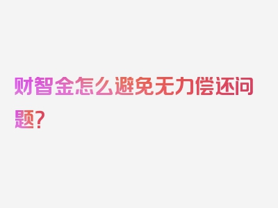 财智金怎么避免无力偿还问题？
