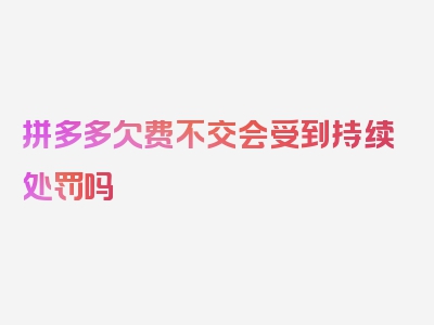 拼多多欠费不交会受到持续处罚吗