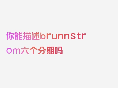 你能描述brunnstrom六个分期吗