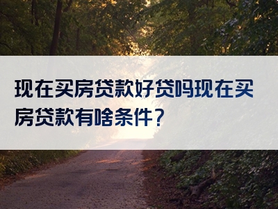 现在买房贷款好贷吗现在买房贷款有啥条件？