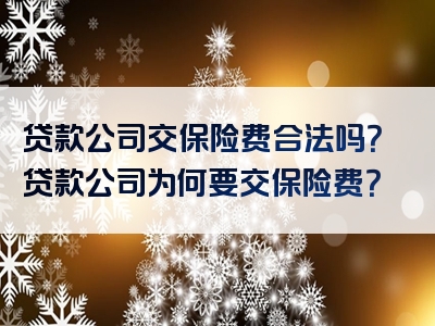 贷款公司交保险费合法吗？贷款公司为何要交保险费？
