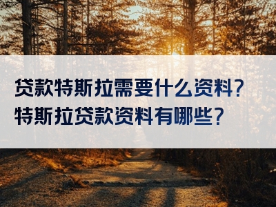 贷款特斯拉需要什么资料？特斯拉贷款资料有哪些？