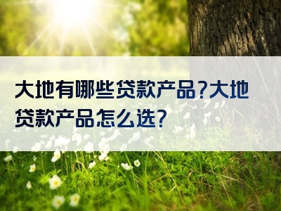 大地有哪些贷款产品？大地贷款产品怎么选？