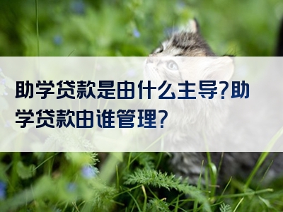 助学贷款是由什么主导？助学贷款由谁管理？