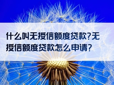 什么叫无授信额度贷款？无授信额度贷款怎么申请？
