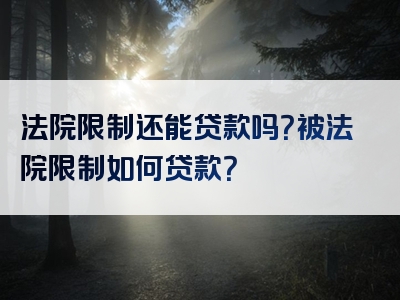法院限制还能贷款吗？被法院限制如何贷款？