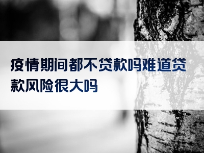 疫情期间都不贷款吗难道贷款风险很大吗