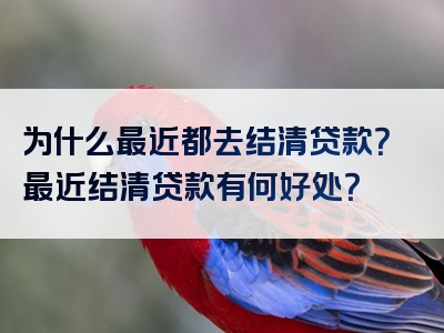 为什么最近都去结清贷款？最近结清贷款有何好处？