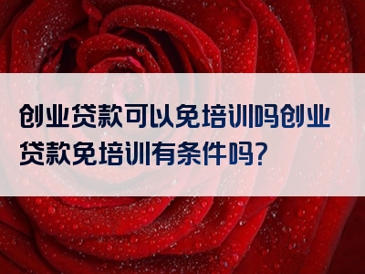 创业贷款可以免培训吗创业贷款免培训有条件吗？